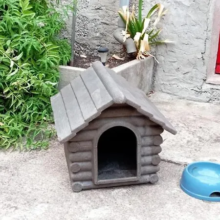 Hébergement de vacances In Casa Con Cortili Ad - Sardegna *