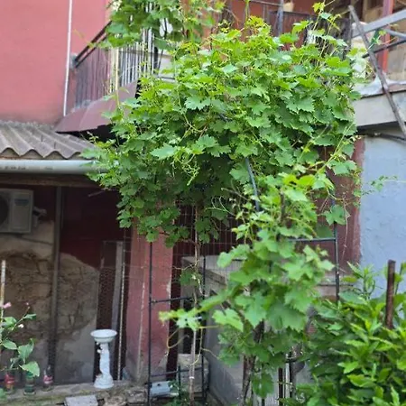 In Casa Con Cortili Ad - Sardegna Σπίτι διακοπών *