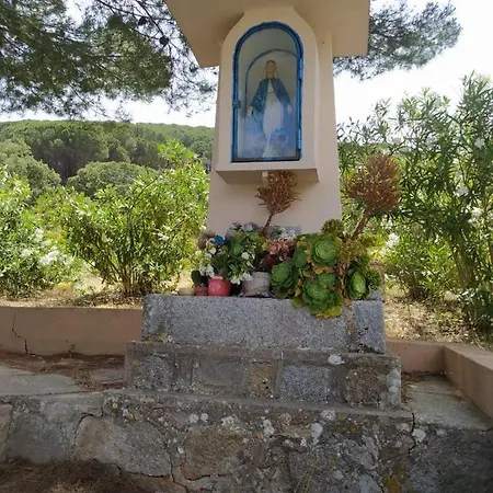 In Casa Con Cortili Ad - Sardegna *