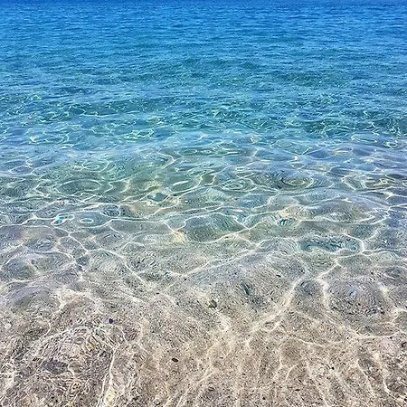 In Casa Con Cortili Ad - Sardegna