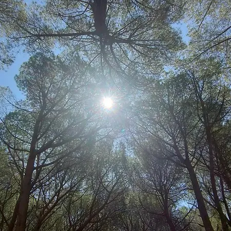 Tatil Evi In Casa Con Cortili Ad - Sardegna