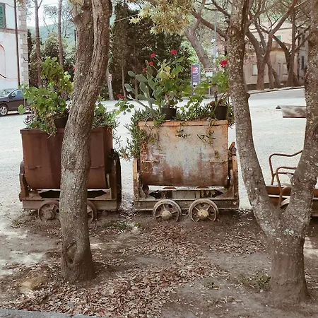 In Casa Con Cortili Ad - Sardegna Tatil Evi