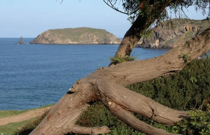 Holiday home In Casa Con Cortili Ad - Sardegna