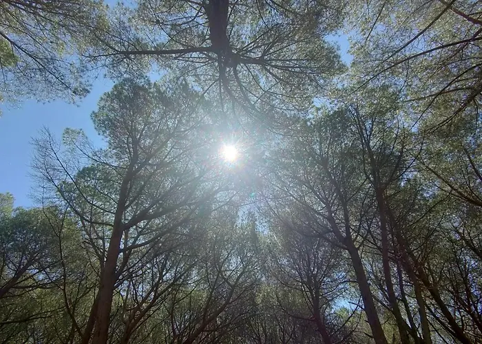 Holiday home In Casa Con Cortili Ad - Sardegna