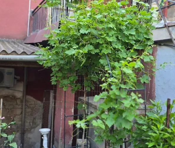 In Casa Con Cortili Ad - Sardegna Сasa de vacaciones *